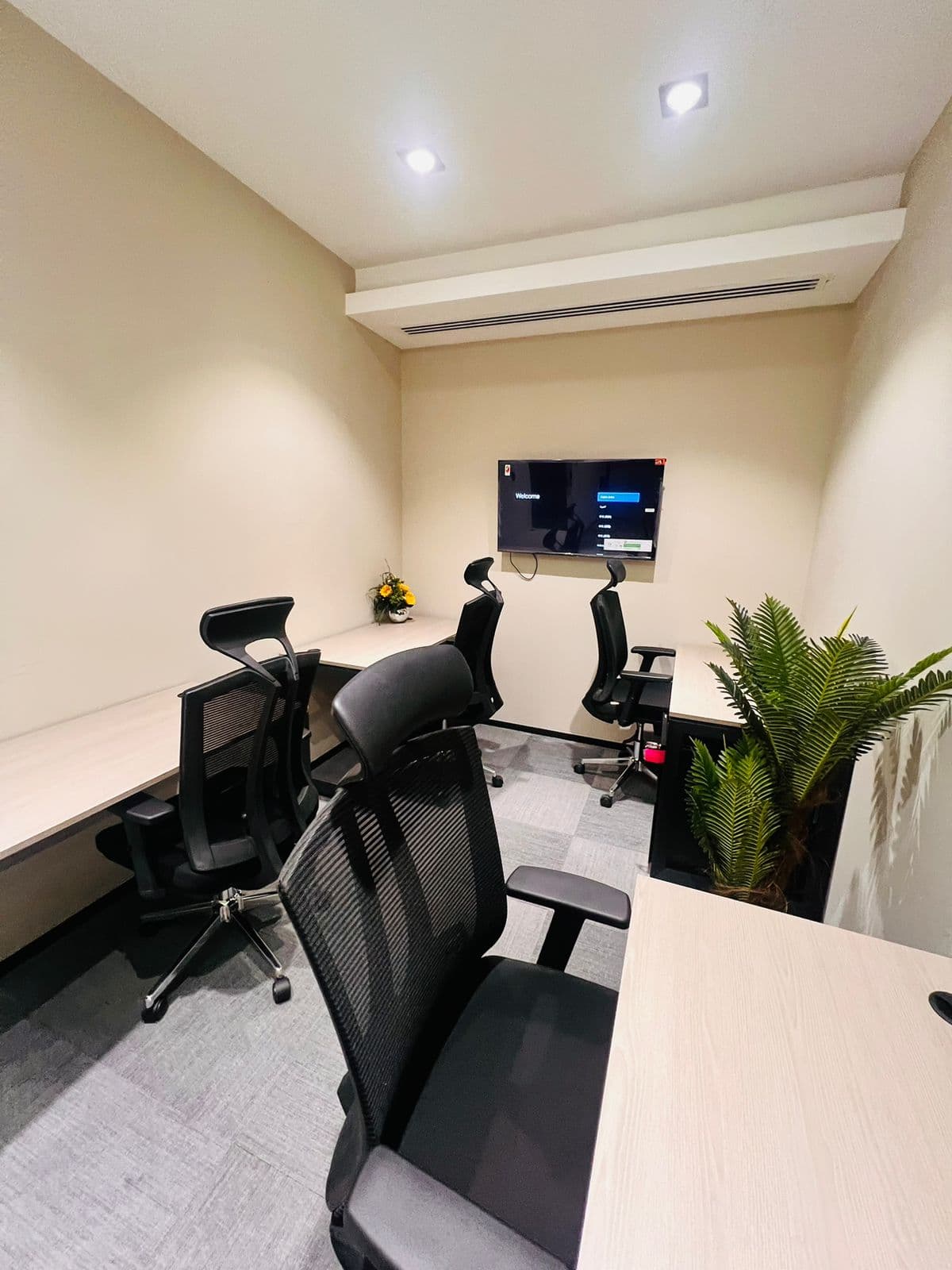 Professional Virtual Office Presence